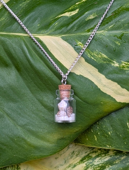 Mini Seashell Bottle Necklace!