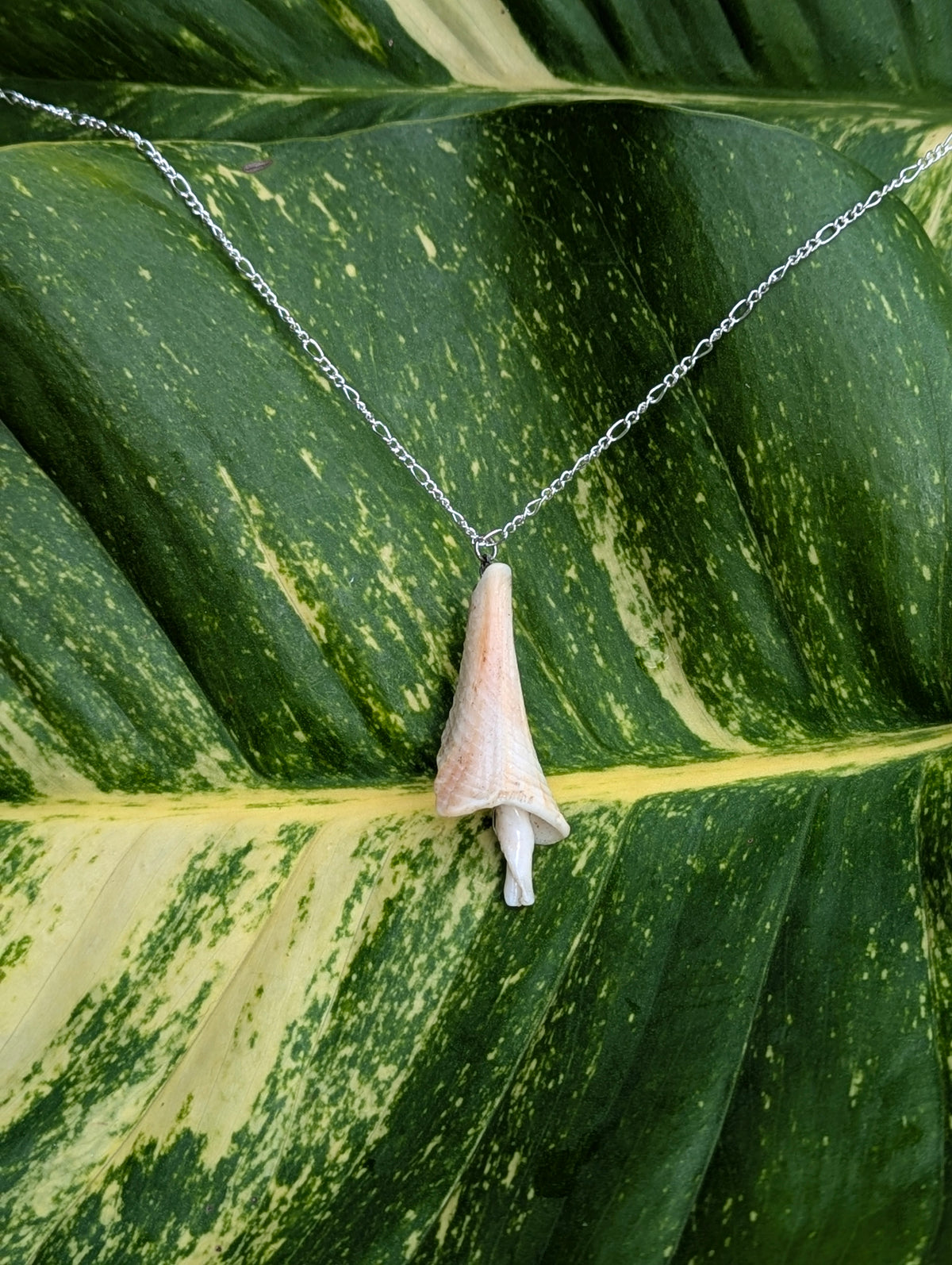 Unique Shroomish Shell Necklace!