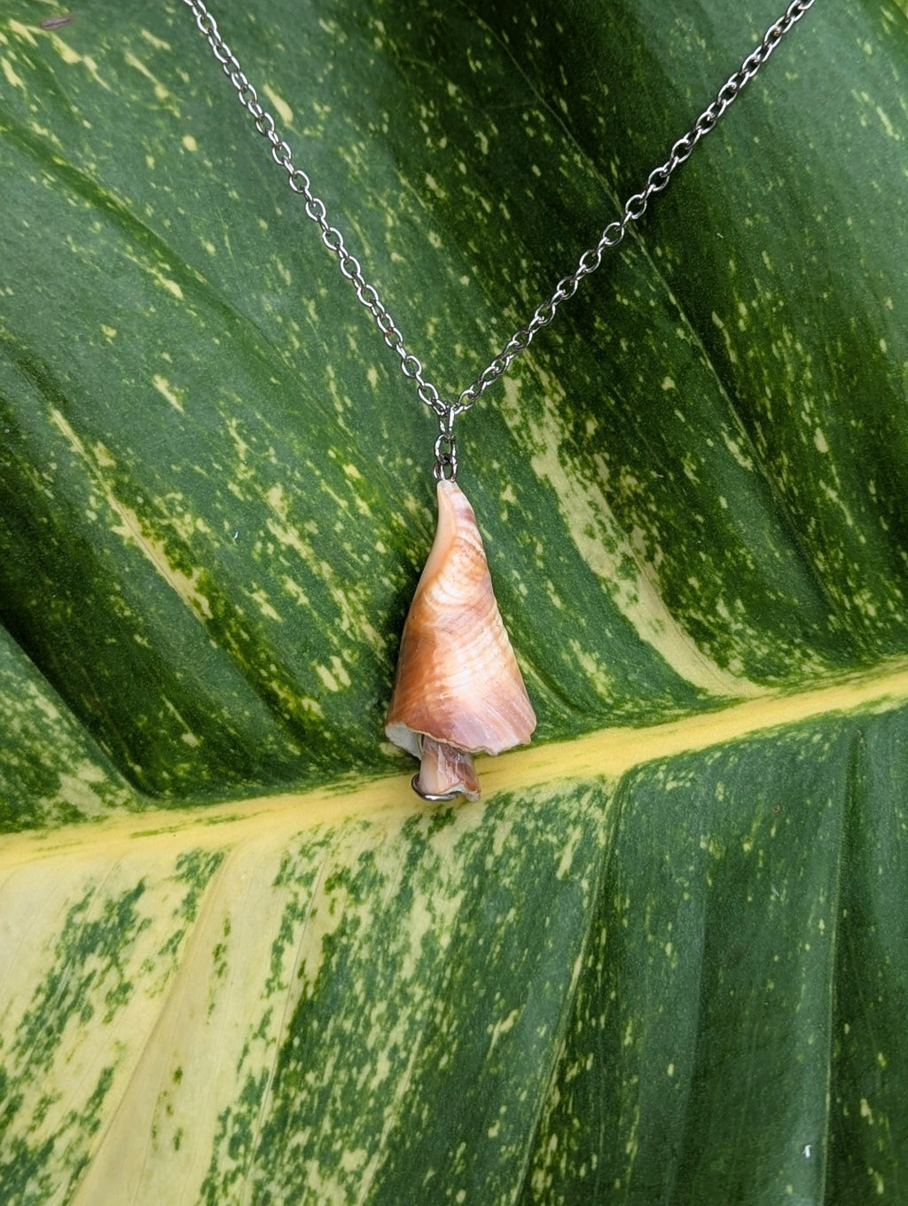 Sunset Shell Shroom Necklace!