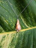 Sunset Shell Shroom Necklace!