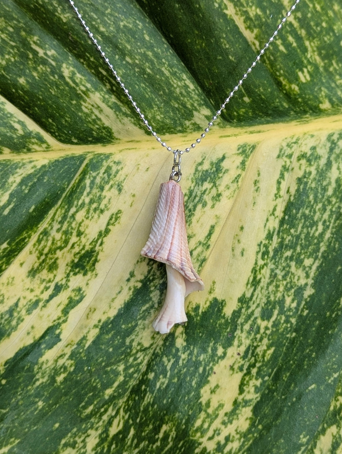 Rosewater Shroom Shell Necklace!