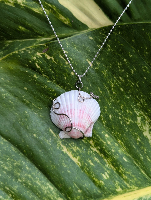 Blushing Scallop Shell Necklace!
