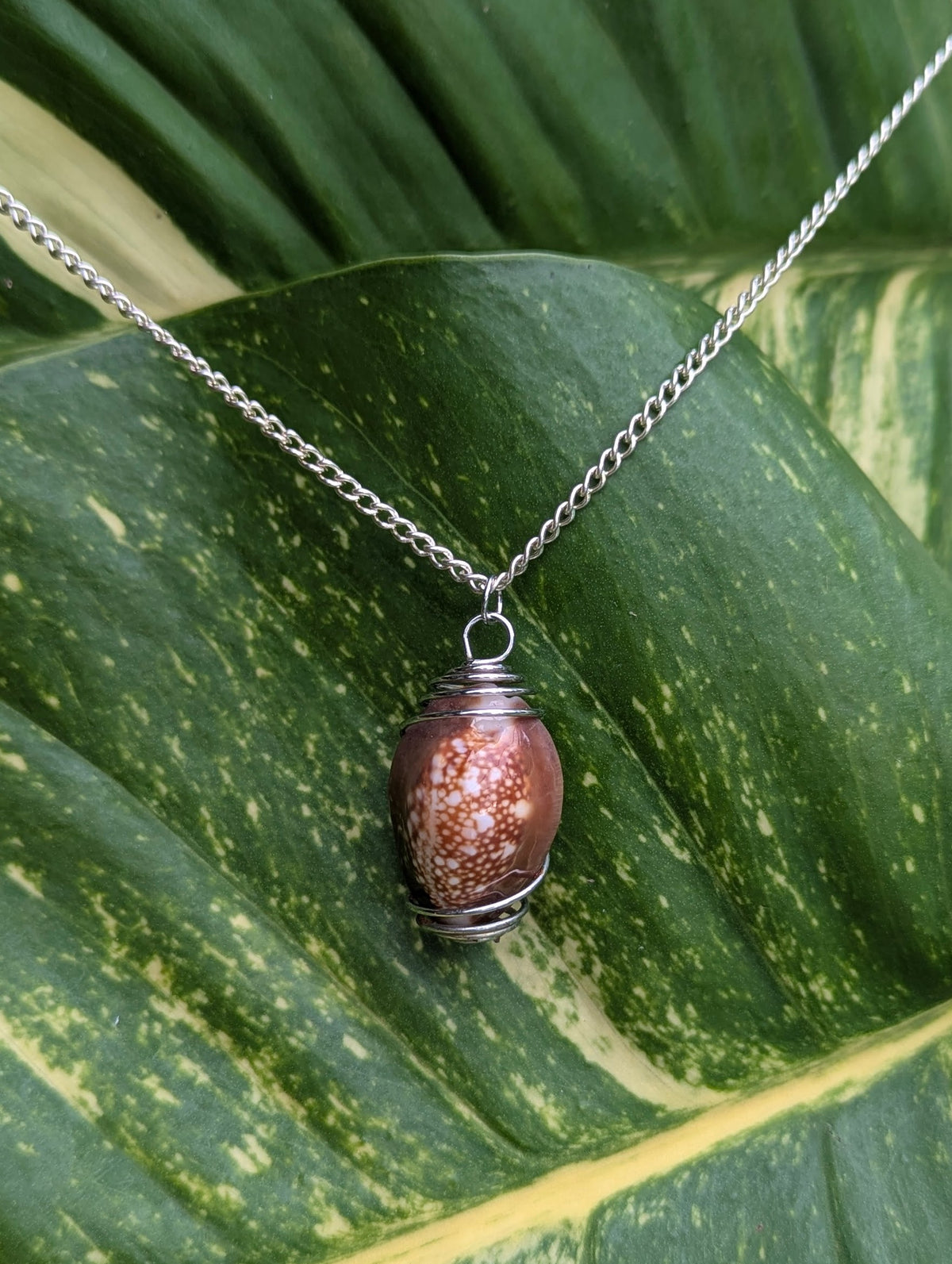 Patterned Cowrie Shell Necklace!