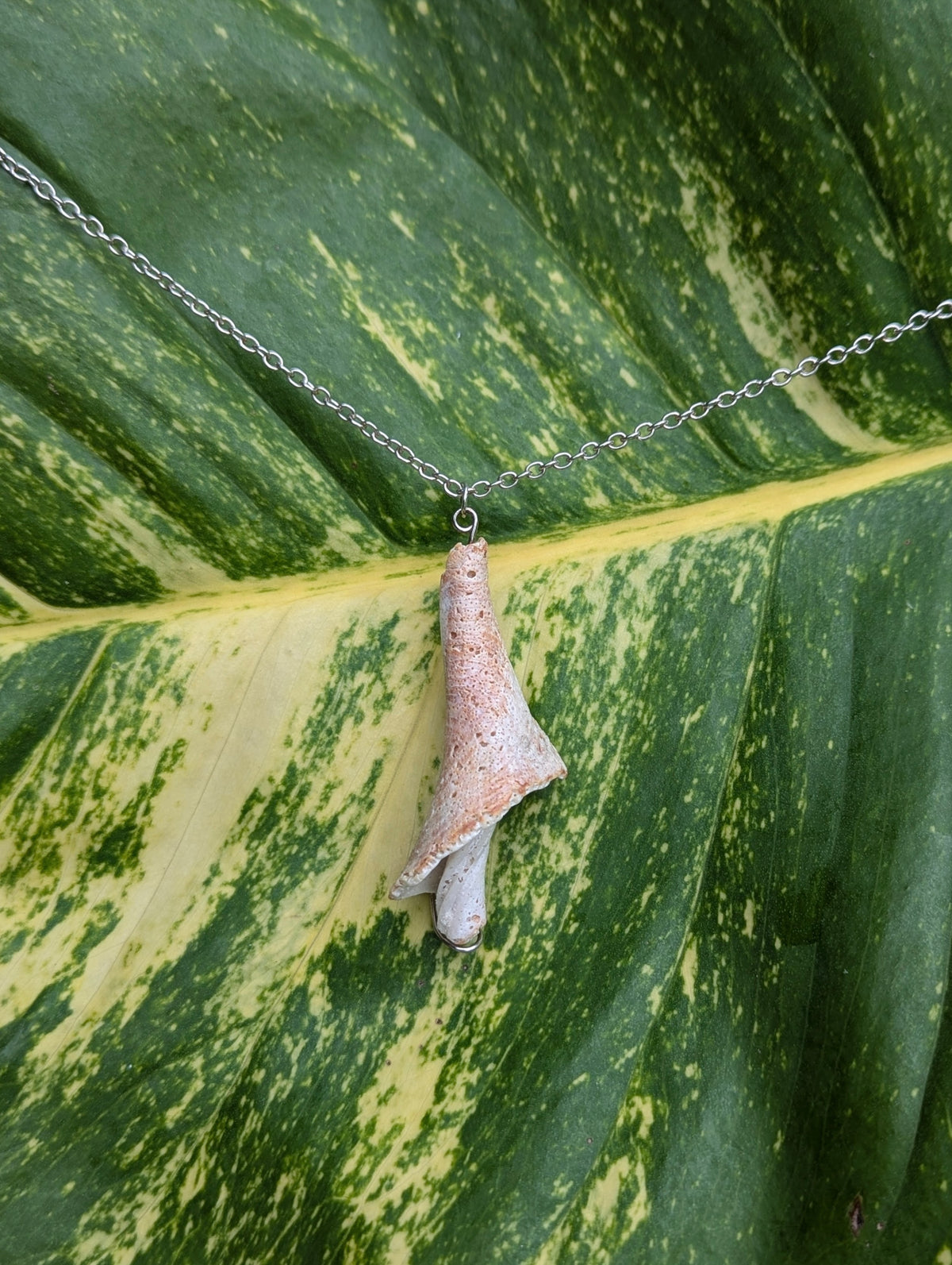 Coral Lace Shell Shroom Necklace!