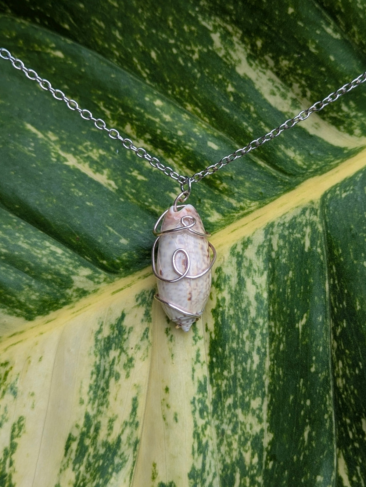 Silver Swirl Shell Necklace!