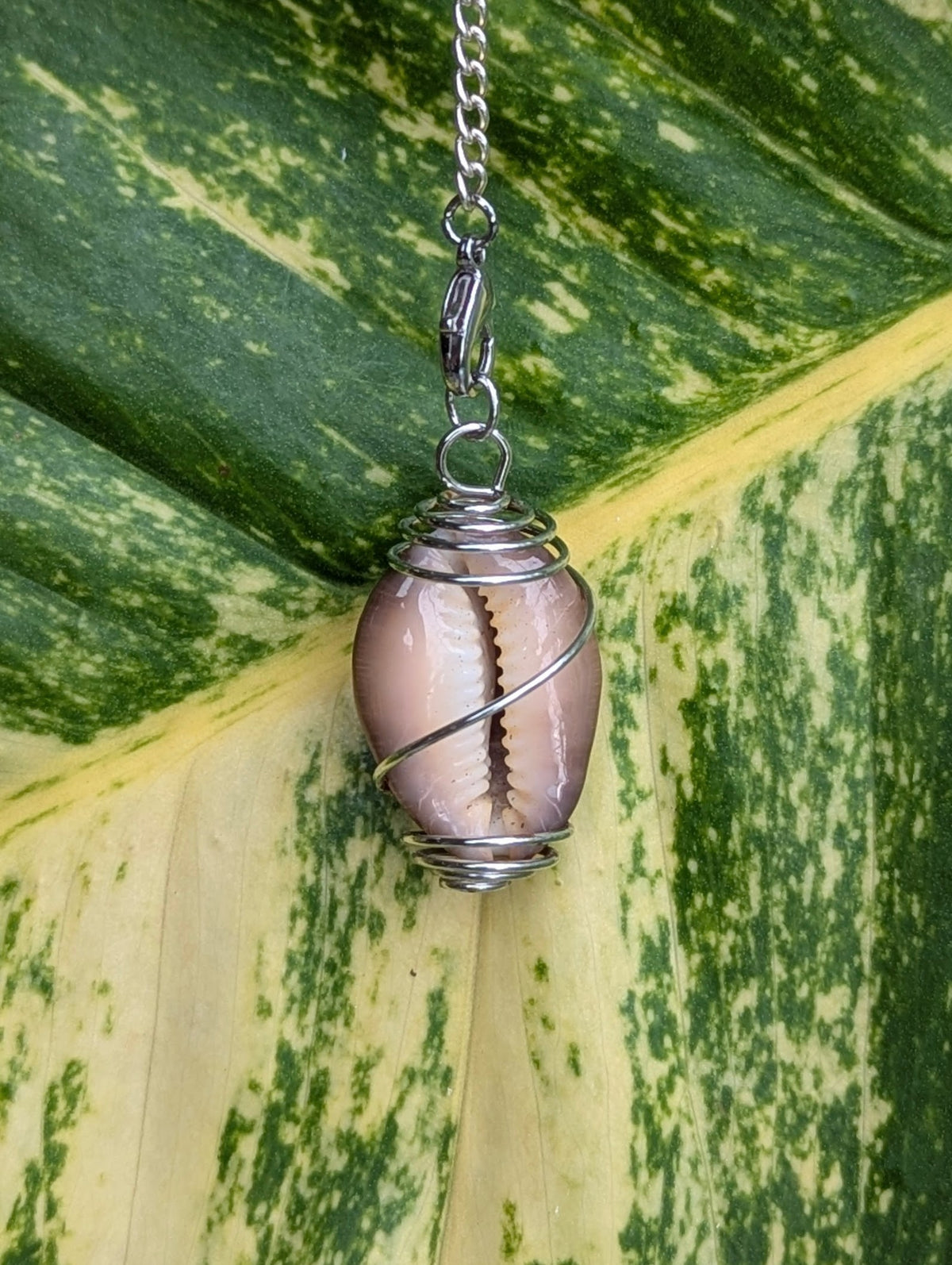 Patterned Cowrie Shell Necklace!