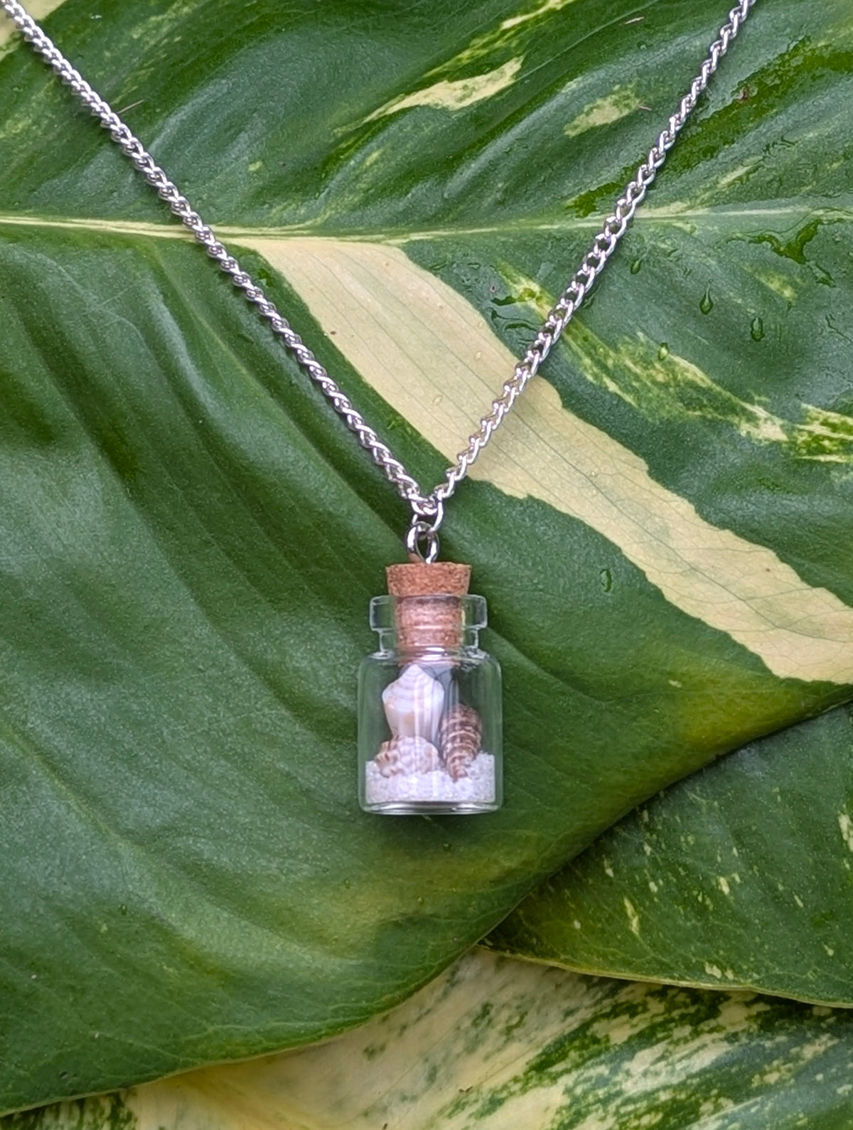 Mini Seashell Bottle Necklace!