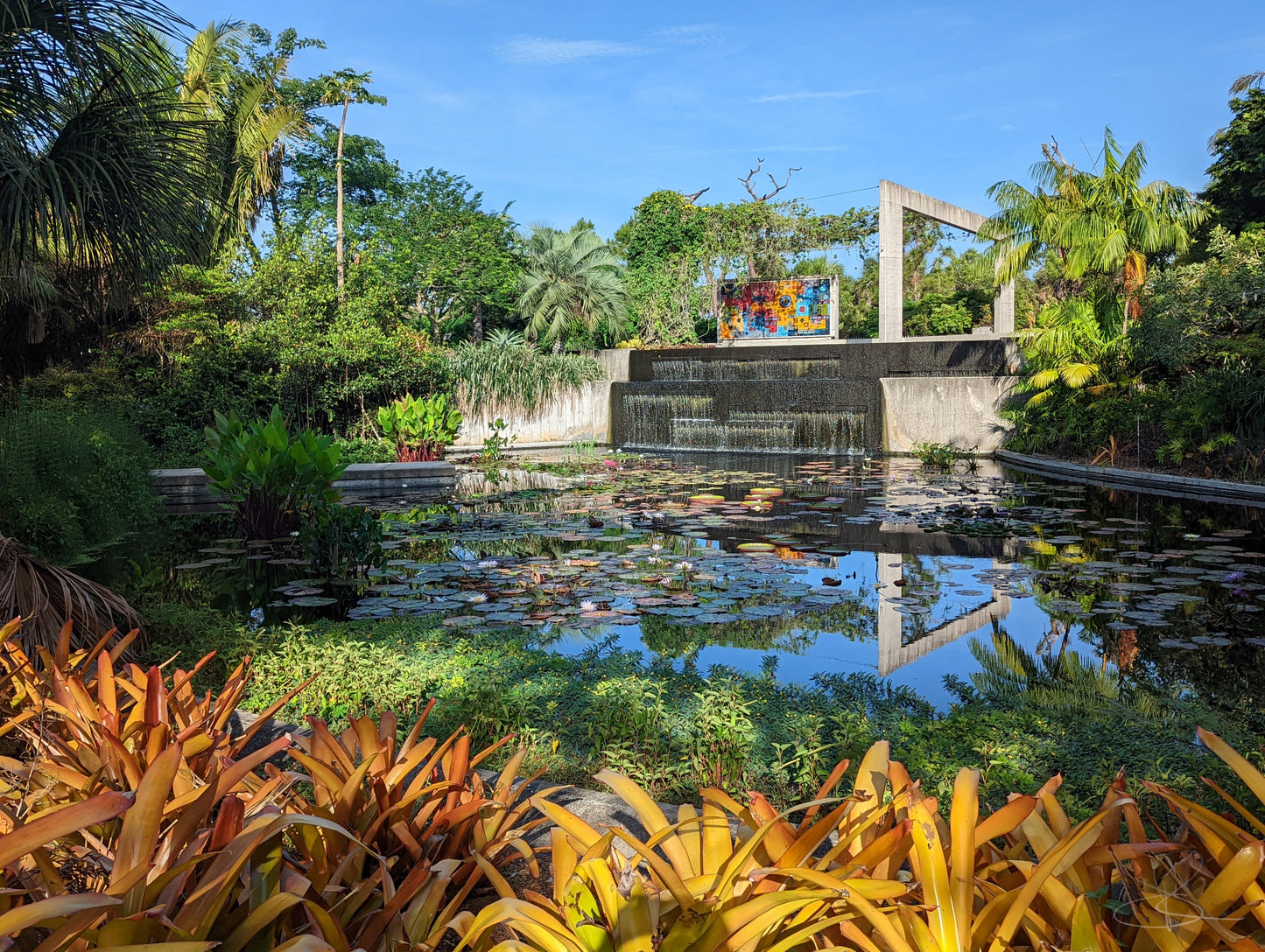 Pond503