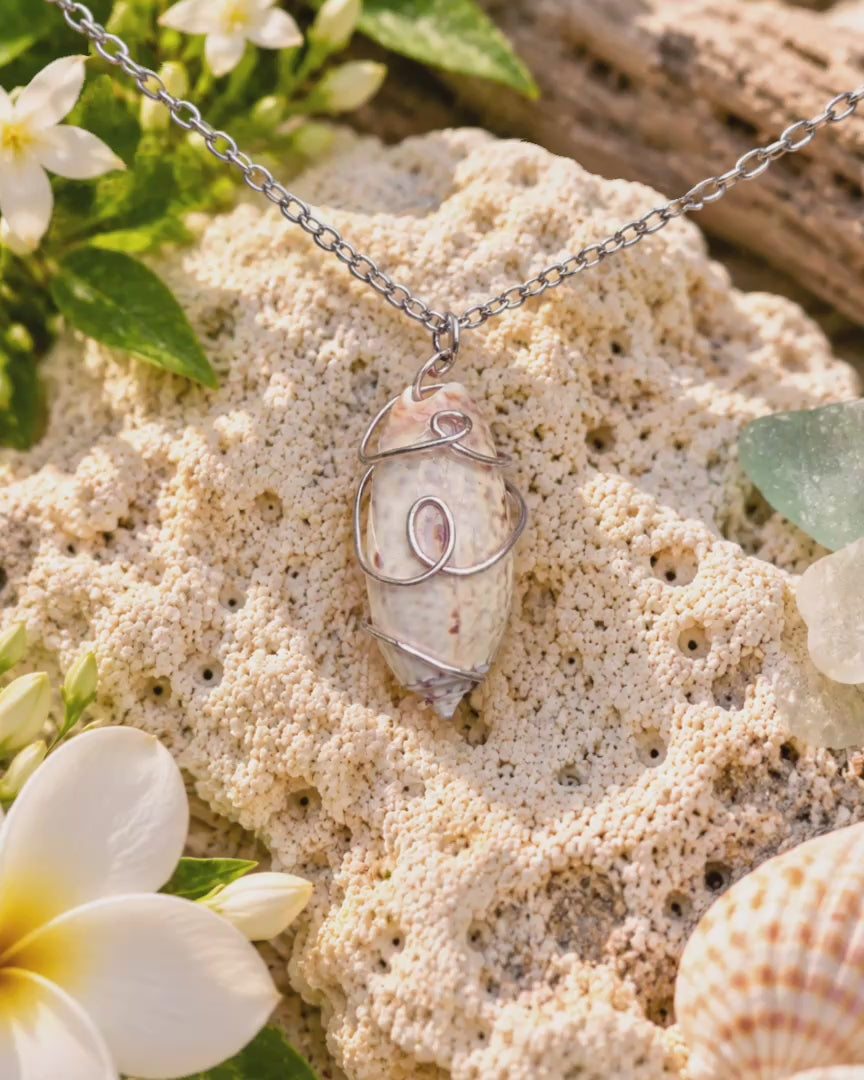 Silver Swirl Shell Necklace!