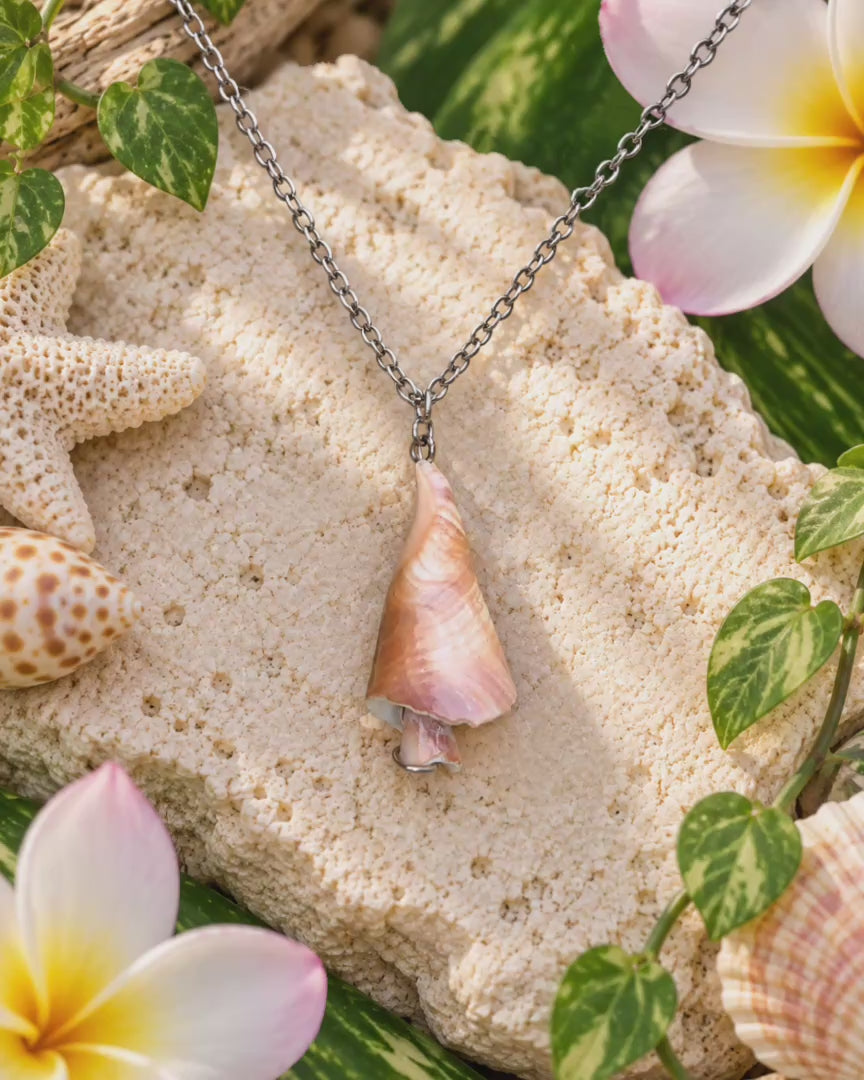 Sunset Shell Shroom Necklace!